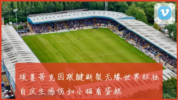 埃基蒂克因跟腱断裂无缘世界杯独自庆生感伤如小猫看蛋糕