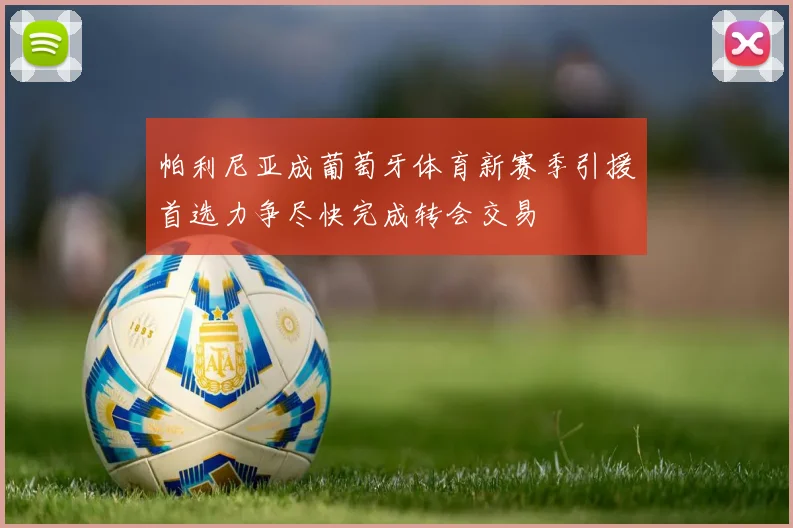 帕利尼亚成葡萄牙体育新赛季引援首选力争尽快完成转会交易