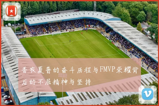 香农夏普的奋斗历程与FMVP荣耀背后的不屈精神与坚持